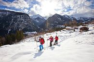 Schneeschuhwandern in Finhaut, Wallis von Menno Boermans Miniaturansicht