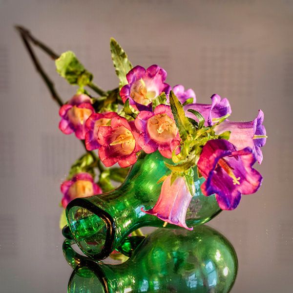Campanula par Rob Boon