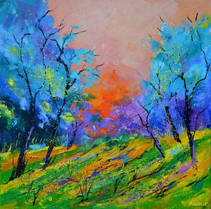 Sunset sur pol ledent