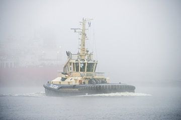 Tug underway through fog in port by scheepskijkerhavenfotografie