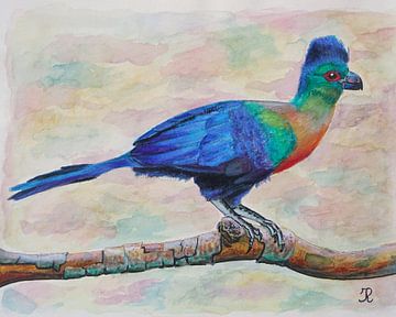 Purpurhaubenturako von Irina Rammos