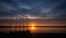 Cold November Morning by Donald Willemsen