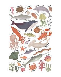 Animals in the sea by Thomas burnet