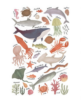 Dieren in de zee