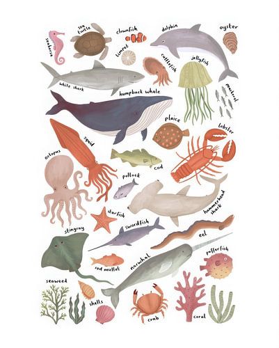 Dieren in de zee