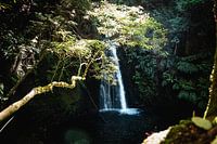 Sur la route de la cascade III | Un voyage au-dessus de Sao Miguel, les Açores