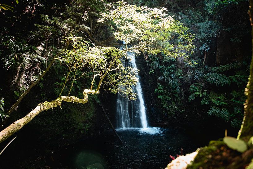 Auf dem Weg zum Wasserfall III | Eine Reise über Sao Miguel, die Azoren von Roos Maryne - Natuur fotografie