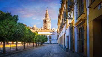 The cathedral of Seville in Spain in the morning light