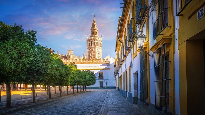 The cathedral of Seville in Spain in the morning light by Bart Ros