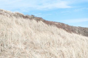 Hoge duinen met helmgras van DsDuppenPhotography