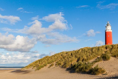 Leuchtturm von Texel mit Düne gegen blauen Himmel