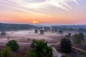 Brunssummerheide von seiner schönsten Seite!