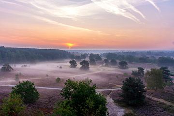 Brunssummerheide at its's most beautiful! by Remco Van Daalen
