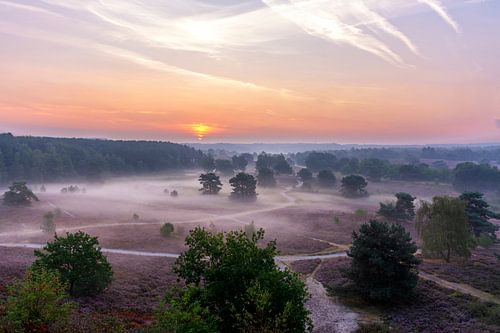 Brunssummerheide von seiner schönsten Seite! von Remco Van Daalen