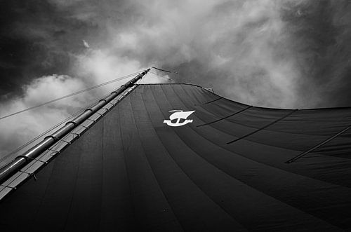 Segelschild skûtsje Striidber