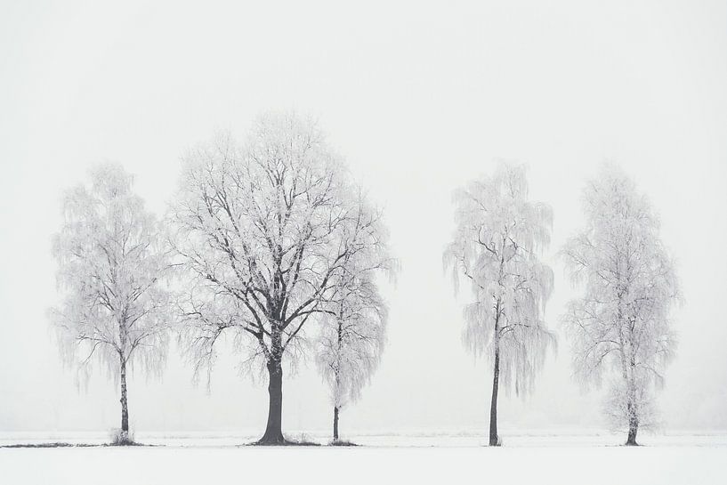 Fragiele Winter van Lars van de Goor