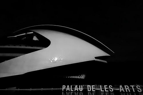 Palau de les Artes