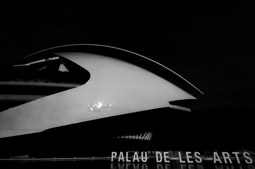 Palau de les Artes von Ken Kühlbrandt