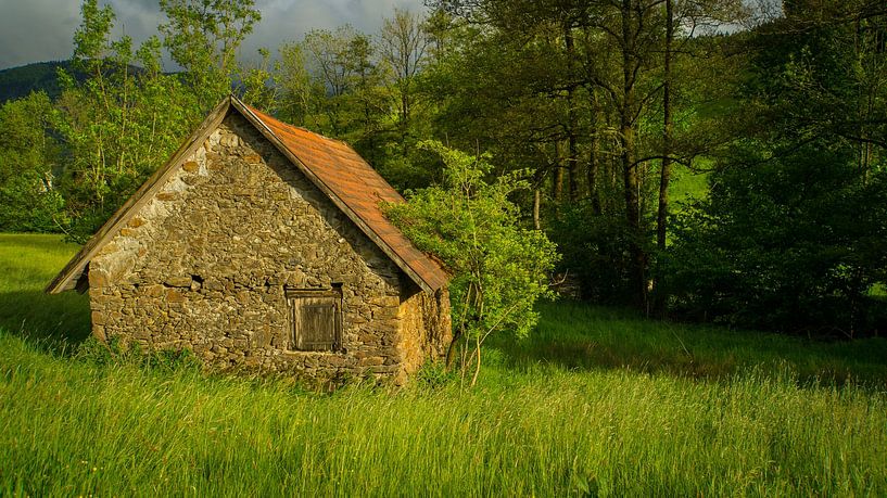 Old stone house on a green meadow in warm light by adventure-photos
