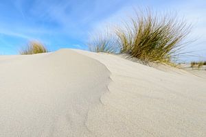 Small dunes on the beach sur Sjoerd van der Wal Photographie