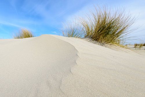 Duin op het strand