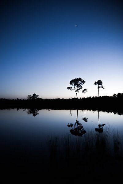 Blauwe zonsondergang van Douwe Schut