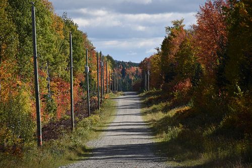 Een landweg in de herfst