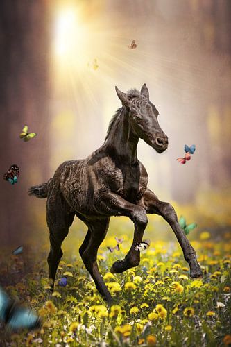 Yellow field of happiness