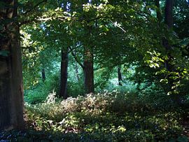 parksfeer von Anne Hana