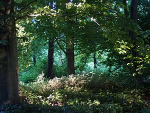 parksfeer