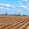 Crêtes de pommes de terre et colza dans le sud du Limbourg sur John Kreukniet