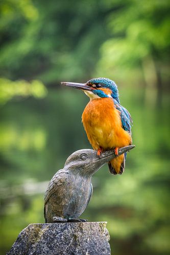 IJsvogel op ijsvogel beeldje. van Frans Lemmens