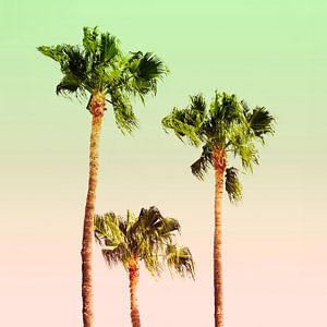 PASTEL PALM TREES no1A