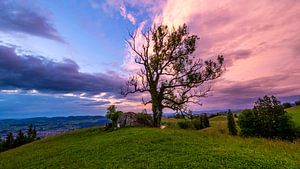 Abendstimmung auf der Hochwacht in Zug