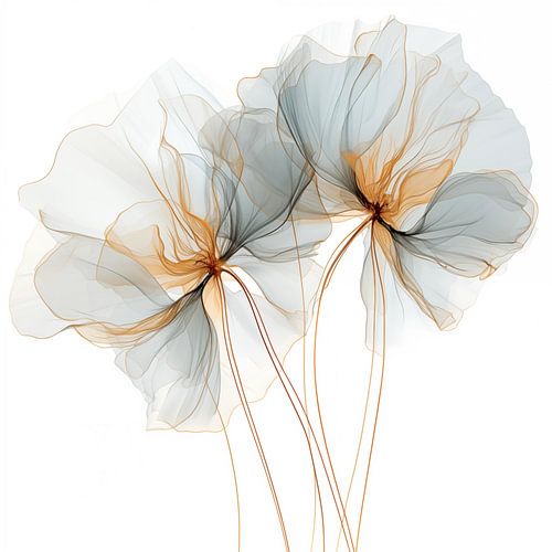 Sierlijk en doorschijnend