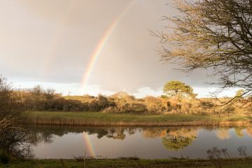 Regenboog in viervoud van As Janson