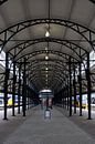 Overkapping Station Amersfoort van Eric van Duijn thumbnail