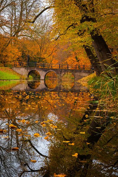 Reflection by peterheinspictures