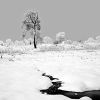 smeltende winter