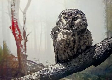 The owl place van Gisela- Art for You