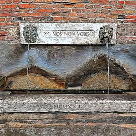 Lion Fountain Citta Della Pieve Umbria by Dorothy Berry-Lound