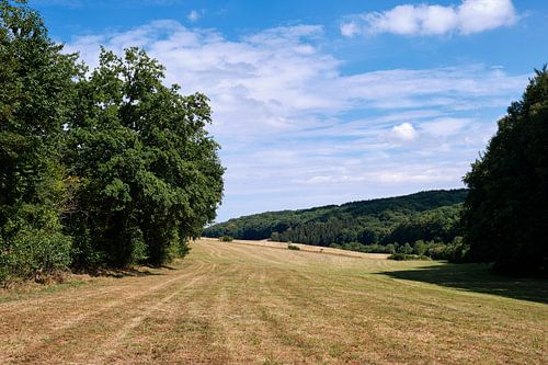 Landschaft am Dreiländerpunkt