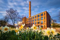 old factory in Chemnitz