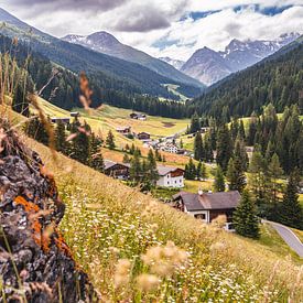 Aussichtspunkt Tal Schweizer Berge von Dafne Vos