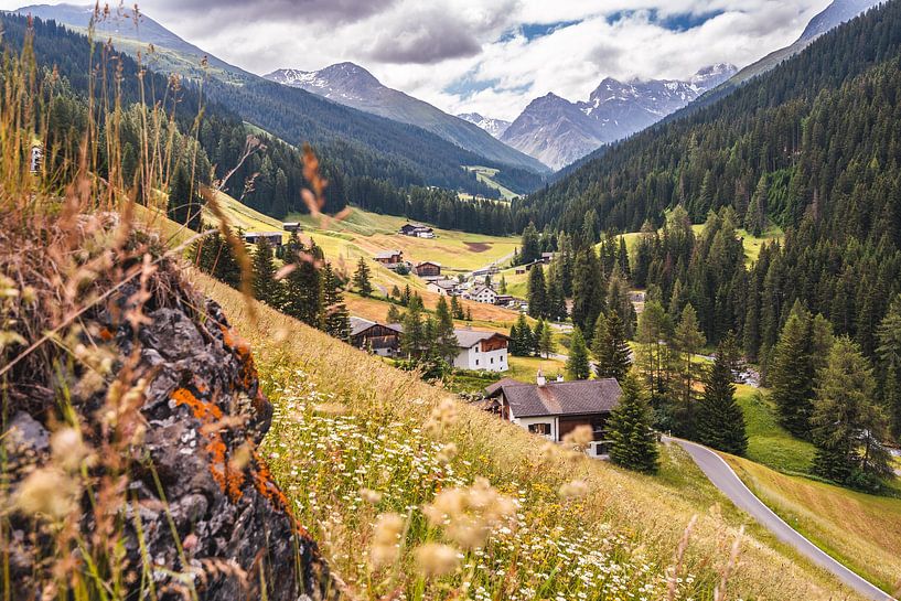 Viewpoint valley Swiss mountains by Dafne Vos