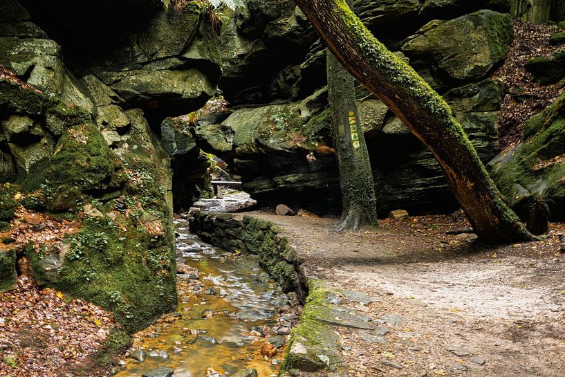Mullerthal, 'Petite Suisse&amp;#039 ; Luxembourg par Edwin Kooren