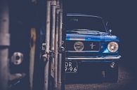 Ford Mustang van marco de Jonge thumbnail