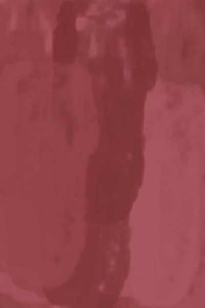 Fest.  Abstract art. Burgundy wine red, dark pink, warm brown by Dina Dankers