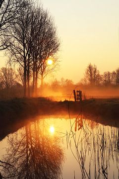 Golden sunrise von LHJB Photography