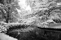 Stille wateren....